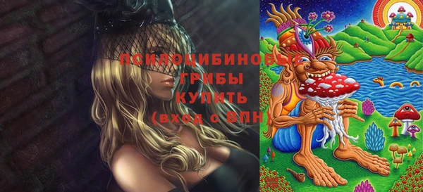 мет Михайлов