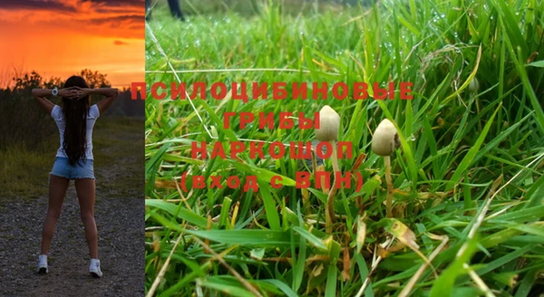 сатива Михайловка