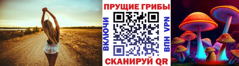 Псилоцибиновые грибы GOLDEN TEACHER  Мичуринск 